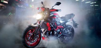 Yamaha MT-07 Moto Cage